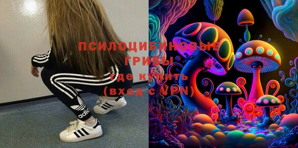 ГАЛЛЮЦИНОГЕННЫЕ ГРИБЫ Карпинск