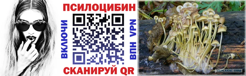 Купить где  Вельск  Псилоцибиновые грибы GOLDEN TEACHER 
